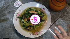 Pokcoy Cah Jamur