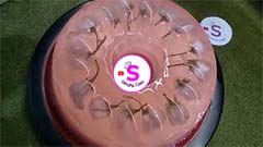 Puding Bunga Sakura